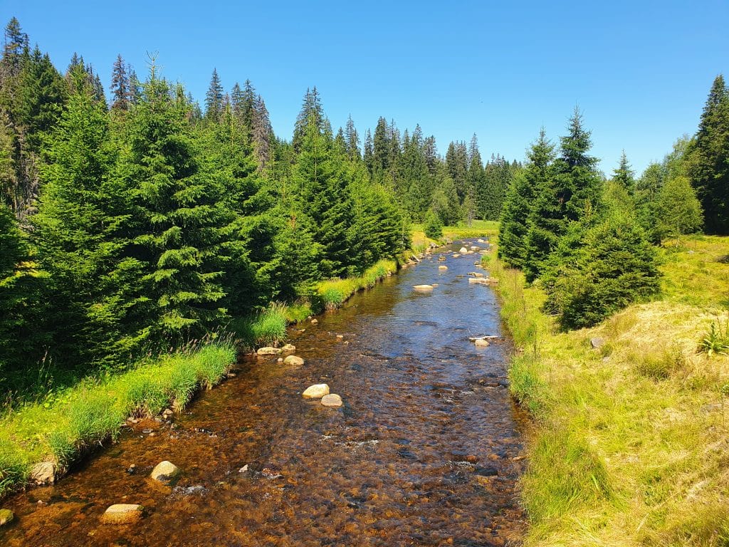 Šumava - Modrava