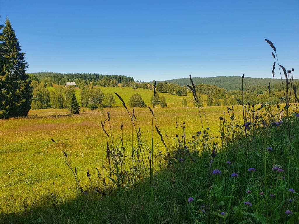 Cestou od pramene Vltavy